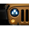 Raxiom blue headlights