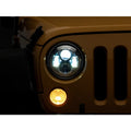 Raxiom chrome headlights