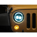 Raxiom chrome headlights