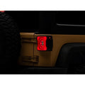 Raxiom tail light installed view