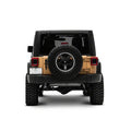 Raxiom tail light
