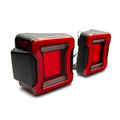 Raxiom tail light detail