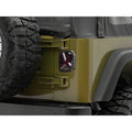 Raxiom tail light detail