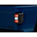 Raxiom tail light installed view