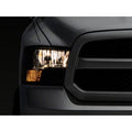 Raxiom chrome headlights