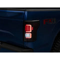Raxiom tail light installed view