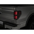 Raxiom tail light