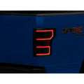 Raxiom tail light installed view