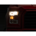 Raxiom chrome headlights