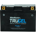 Bike Master auto part