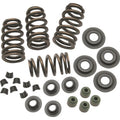 S&S Cycle springs