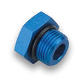Earls auto part