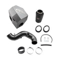 Wehrli intake system