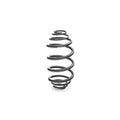 Eibach auto part close-up
