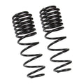 Skyjacker springs