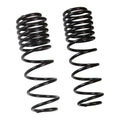 Skyjacker springs
