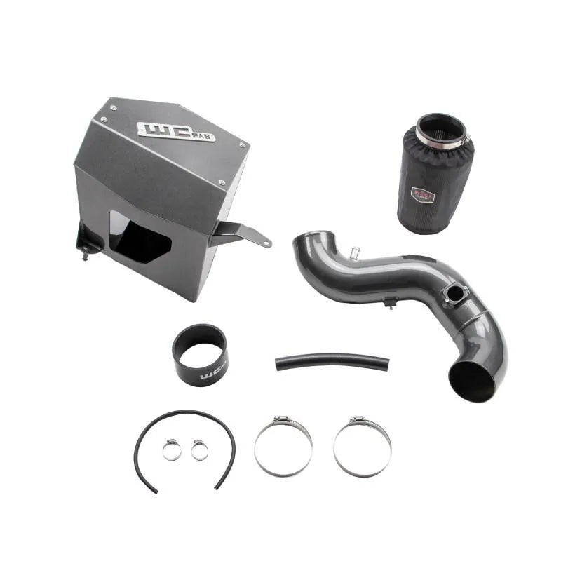 Wehrli intake system