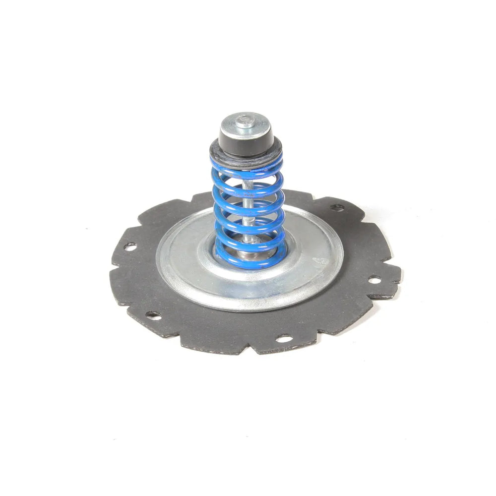 DIAPH ASSY -30 and -40 UHP PUMP