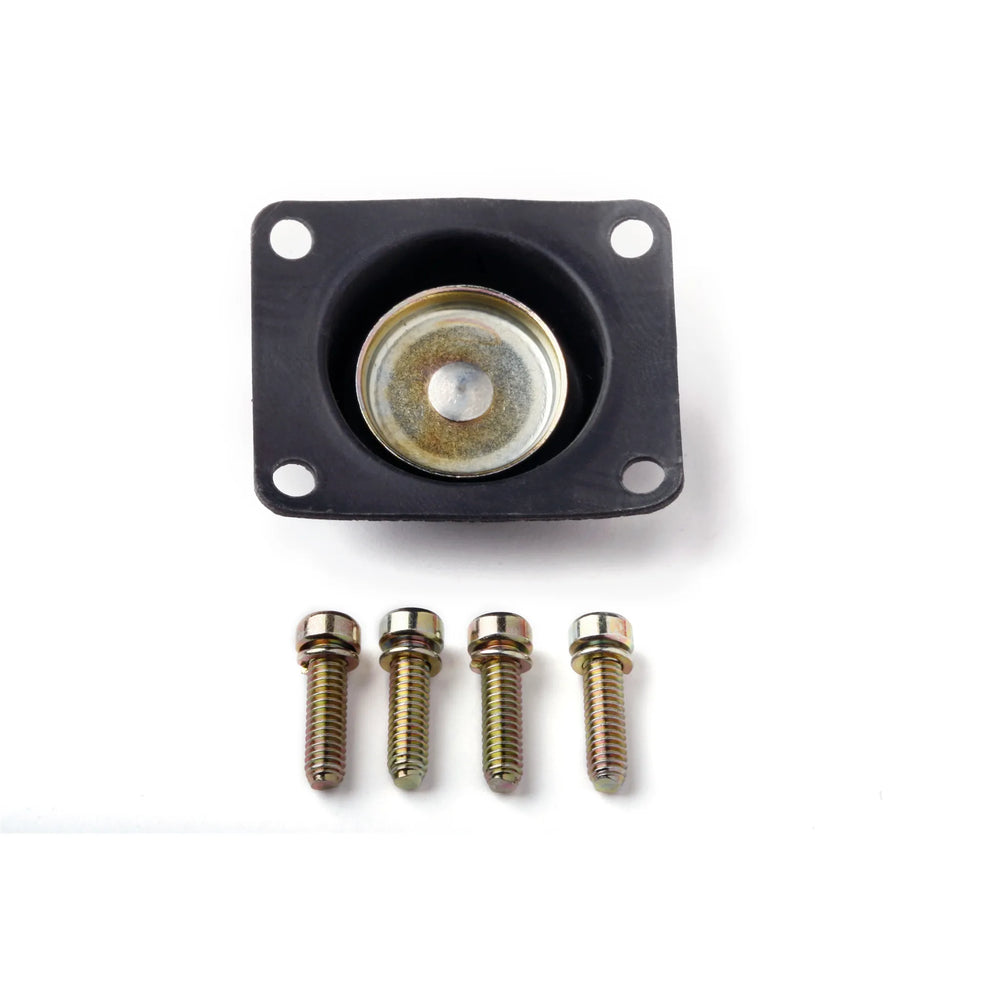 HOLLEY 50CC RUB W/SCREWS