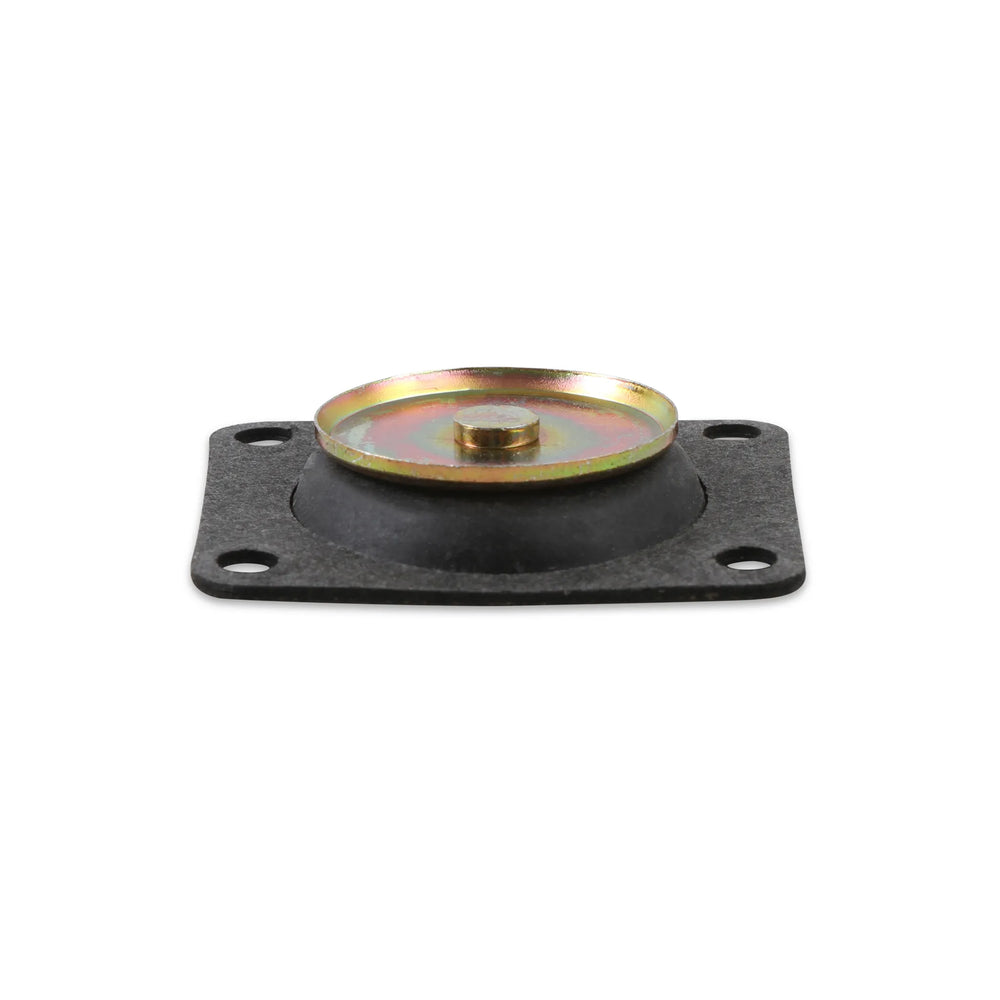 Acc. Pump Diaphragm 30cc Pump