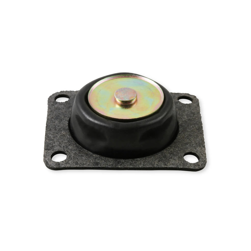 Acc. Pump Diaphragm 50cc Pump