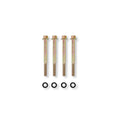 Fuel Bowl Screw & Gasket Kit
