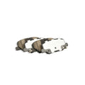 DBA auto part detail