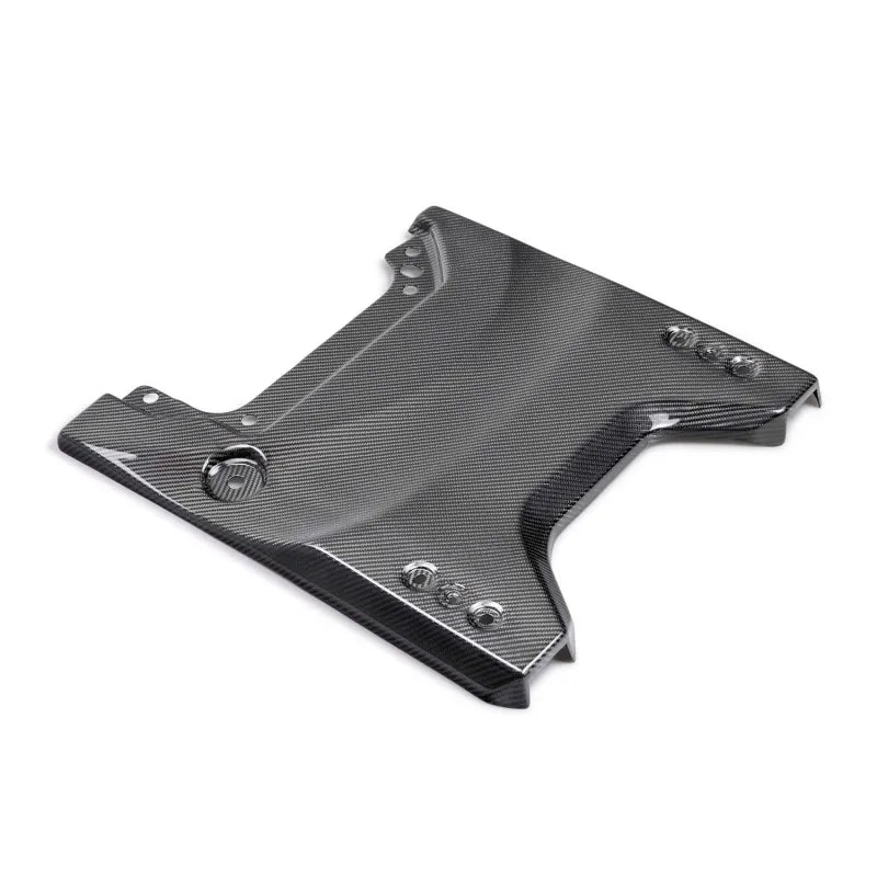 Ford Racing carbon auto part