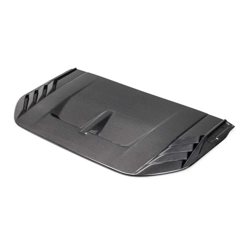 Ford Racing carbon auto part