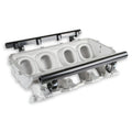 BASE IM & FUEL RAILS, LS1 LO-RAM, SATIN
