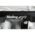 Intake Manifold Lo-Ram GM LS1 - Satin