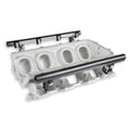 KIT, INT. MANIFOLD, LS1 LO-RAM, SATIN