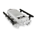 LTS KIT, INT. MANIFOLD, LS1 LO-RAM, SAT