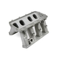 EFI HEMI HI-RAM WITH 105MM GM THRO BODY