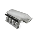 EFI HEMI HI-RAM WITH 105MM GM THRO BODY