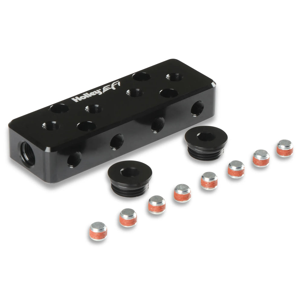 EFI Vacuum Manifold - w/12 1/8npt Ports