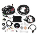 HP ECU AND HARNESS, FORD MPFI, NTK