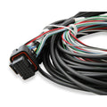 12.3 STANDALONE PRO DASH