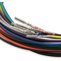 INJECTOR DRIVER MODULE, W/ HARNESS