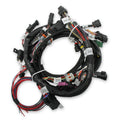 MAIN HARNESS, FORD COYOTE TI-VCT