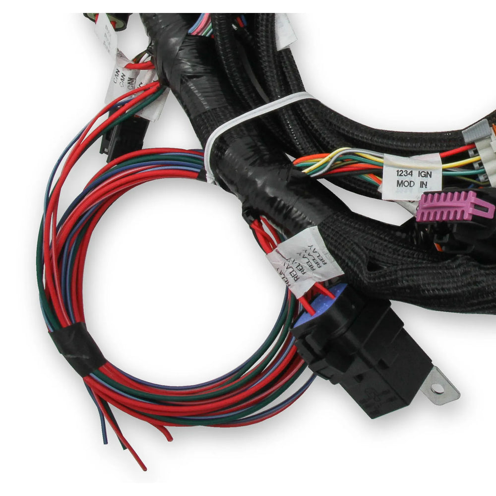 MAIN HARNESS, FORD COYOTE TI-VCT
