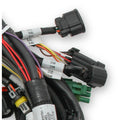 MAIN HARNESS, FORD COYOTE TI-VCT