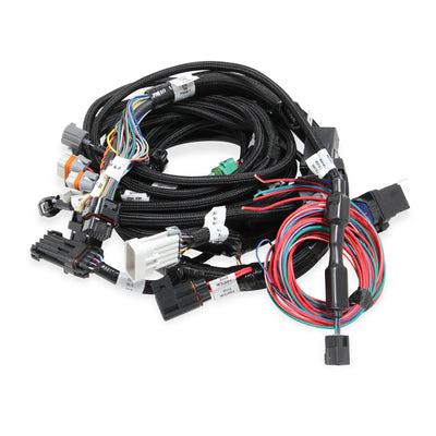 MAIN HARNESS, 99-04 FORD MODULAR, W/ SMA
