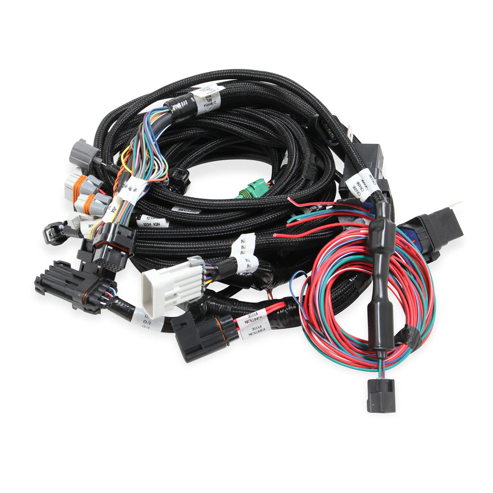 MAIN HARNESS, 99-04 FORD MODULAR, W/ SMA
