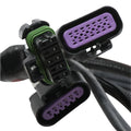 2X4 TERMINATOR STEALTH MAIN HARNESS
