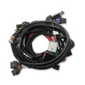 MAIN HARNESS, FORD COYOTE TI-VCT SMART