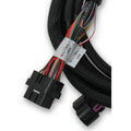 SUB HARNESS, FORD COYOTE TI-VCT