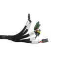 EFI BENCHTOP TEST HARNESS FOR FIRMWARE UPDATING DASH CONFIGURATION AND ECU TESTI