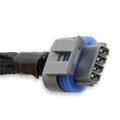 GM LS Coil Sub Harnesses