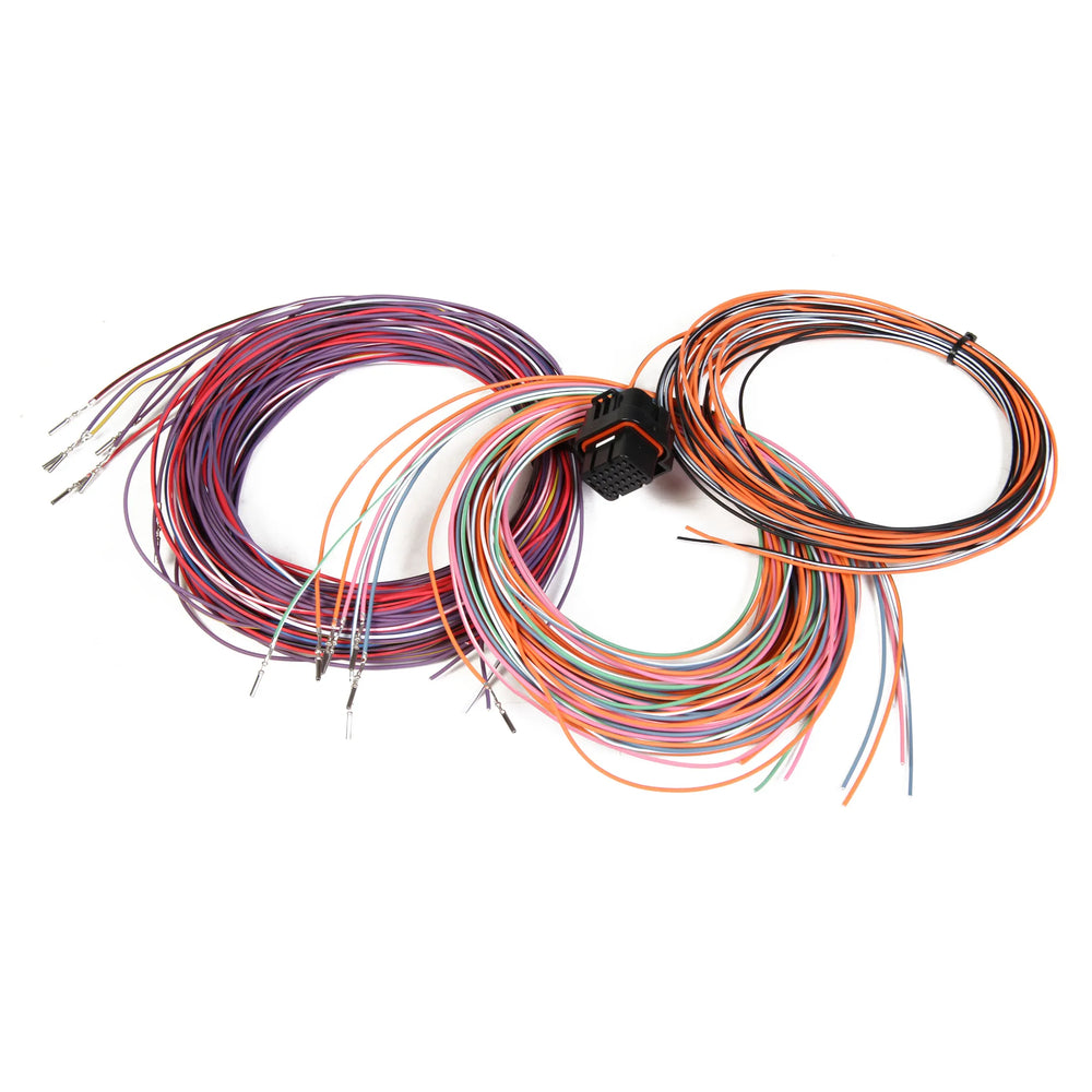 J3 CONNECTOR AND HARNESS